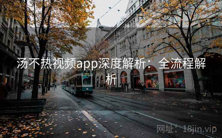 汤不热视频app深度解析：全流程解析