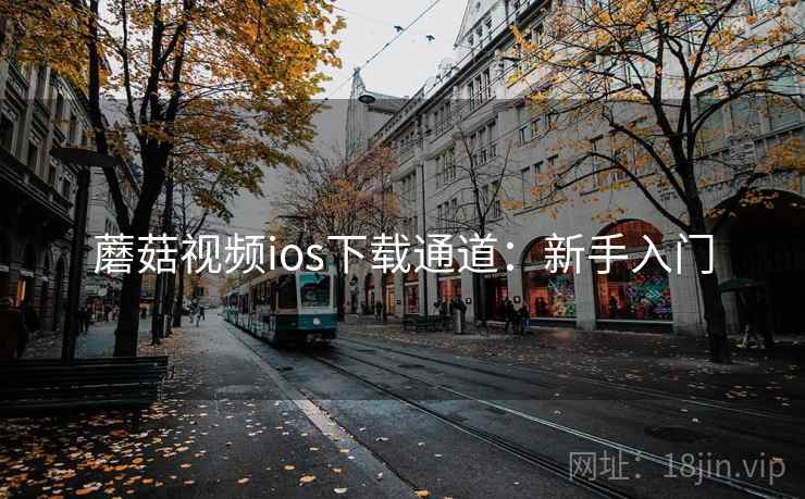 蘑菇视频ios下载通道：新手入门