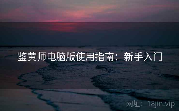 鉴黄师电脑版使用指南：新手入门