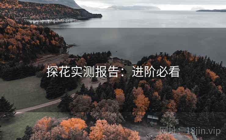探花实测报告:进阶必看 探花实测报告:进阶必看