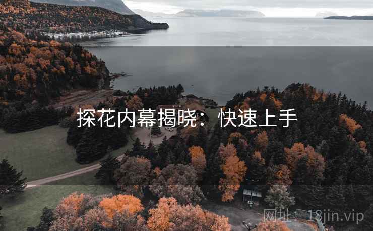 探花内幕揭晓:快速上手 探花内幕揭晓:快速上手